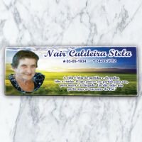 Imagem de Porcelana Retangular 25x10 - 1 foto - (fundo paisagem)